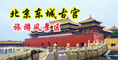 操逼网站免费看美女中国北京-东城古宫旅游风景区
